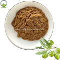 Competitive Olive Leaf Extract Powder